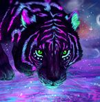 Austin Rupp - Facebook