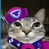 austinrupp85 - @austinrupp85 - TikTok