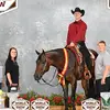 Austin Rush - @arushperformancehorses - TikTok