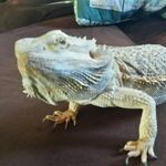 Austin Saunders - @austin.saunders.104 - Instagram