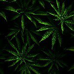 Austin Saunders - @odyssey420_ - Instagram