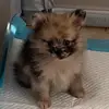 austin saunders - @austin.saunders77 - TikTok