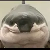 Aust!nSavage - @austin.savage - TikTok