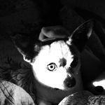 Saxon - @saxon_n_austin - Instagram