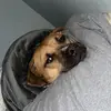 Austin Schmitt - @austin.schmitt19 - TikTok