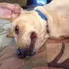austinsbackup - @austin.schmit - TikTok