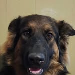 Austin Schulz - @aust.inschulz - Instagram