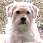 austin.schwark270 - @austin_schwark - Instagram