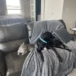 Austin Selby - Facebook
