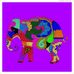 Austin Sethman - Facebook