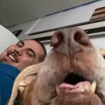 Austin Shade - @ashade500 - Instagram