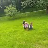 Austin Shaeffer - @austin.shaeffer4 - TikTok