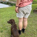 Austin Shrout - @austinshrout8 - Instagram