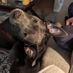 Austin Sims - @caustinsims - Instagram