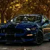 austinsipes559 - @austinsipes559 - TikTok