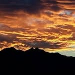 Pat Austin Sisson - @sisson_pat - Instagram