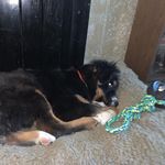 @austin_six - Instagram
