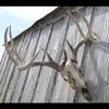 austin slaughter - @avslaughter - TikTok