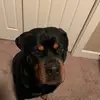 user3418104908160 - @austin.slaytongg11 - TikTok