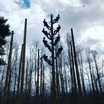 Austin - @austin_smallwood7 - Instagram