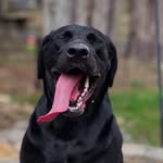 Austin Snell - @funkinaustin - Instagram