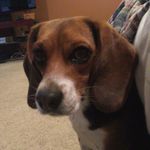 Austin Snider - @snider_c233 - Instagram