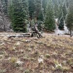 Austin Snider - @manykin_sni - Instagram