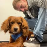 Austin Snipes - @runriot804 - Instagram