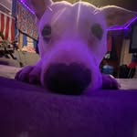 Austin Snipes - @snipes2431 - Instagram