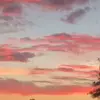 Austin Snipes - @austinsnipes0 - TikTok