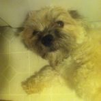 Austin Snuffer - Facebook