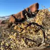 Austin Snyder - @austin.snyder392 - TikTok