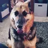Austin Snyder - @austinsnyder95 - TikTok
