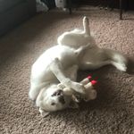 Austin Solberg - @austin_solberg - Instagram