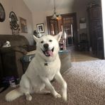 Austin Solberg - Facebook