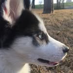 austinsolomon - @austin_solomon_ - Instagram