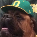 Austin Somers - @oregon_______ducks - Instagram