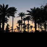Austin Sonnenberg - @austin_sonny9 - Instagram