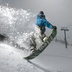 Austin Sorrells - @austin.sorrells - Instagram