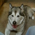 Austin Schroth - @austinsouler - Instagram