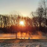 Austin_Southern_Charm5 - @austin_southern_charm5 - Instagram