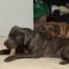 Austin Sova - @austin.sova - TikTok