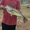 Austin spears - @austinspears091 - TikTok