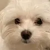 austinspeck63 - @austinancasper - TikTok