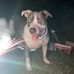 Austin Spence - Facebook
