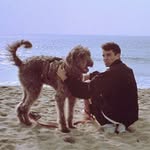 Austin Spencer - @austinspencer - Instagram