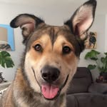 Austin Sperl - @austinsperl2 - Instagram