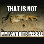 Austin Spier - @crab_kakes4life - Instagram