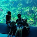 Austin Spillman - Facebook