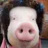 austin_spoon - @austin_spoon - TikTok